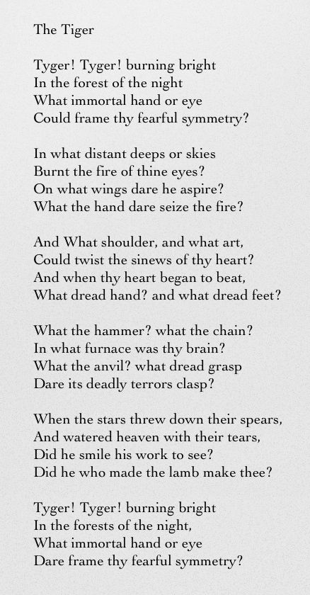 The Tiger - William Blake  First poem I ever memorized, simply because I loved it as a kid..'cause it was about a tiger. Blake Poetry, Innocent Quotes, Songs Of Innocence, Quotes Literature, Quote Unquote, Famous Poems, Poems And Quotes, William Blake, The Mentalist