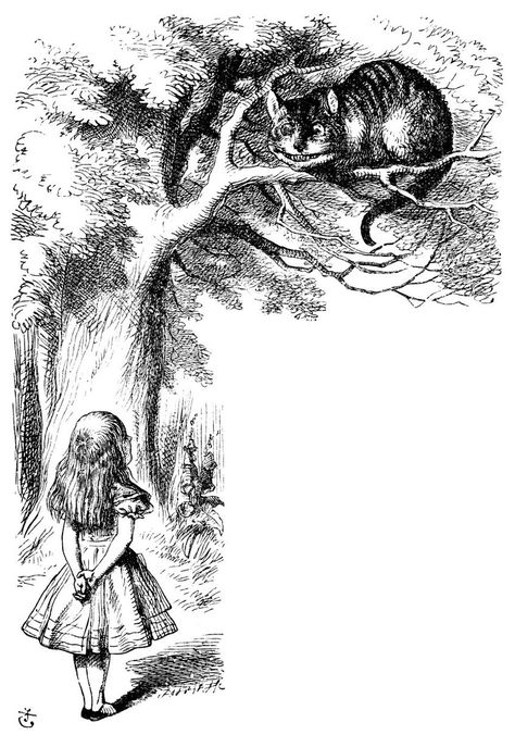 Original 1865 Alice in Wonderland drawings - Surrey Live Alice In Wonderland Original, Cheshire Cat Art, Cat Mad, Cheshire Cat Smile, Alice In Wonderland Illustrations, Alice In Wonderland Drawings, Wonderland Tattoo, John Tenniel, Ink Artwork