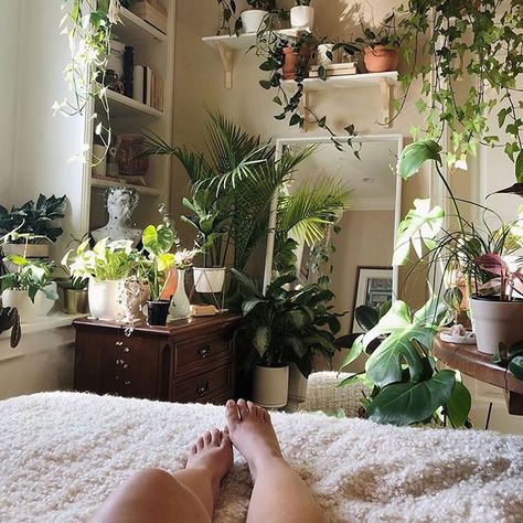 Mariana Kamimura (@makamimura) • Instagram-foto's en -video's Indoor Plant Hacks, Sun In The Morning, Home Plant Decor, Easy Indoor Plants, Art Deco Aesthetic, Plants Aesthetic, Plant Goals, Small Balcony Garden, Vibrant Home