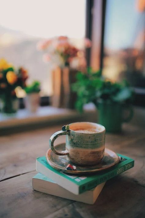 Cup of Coffee on Stack of Books by Window · Free Stock Photo Tea Photography, Tea And Books, Coffee Books, Coffee Pictures, Coffee Photos, Books Coffee, Coffee Photography, Coffee Tshirt, Aesthetic Coffee