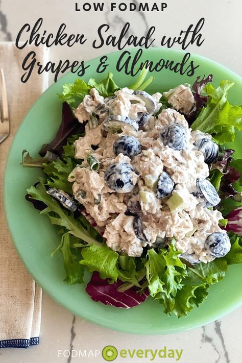 Low FODMAP Chicken Salad with Grapes Fodmap Chicken Salad, Low Fodmap Chicken Salad, Fodmap Lunch, Fodmap Chicken, Fodmap Recipes Dinner, Low Fodmap Chicken, Low Fodmap Recipes Dinner, Salad With Grapes, Fodmap Meal Plan