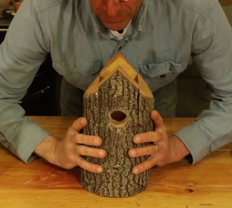 Log Bird House, How To Make A Bird House, Unique Bird Houses Diy, Natural Birdhouse, Driftwood Birdhouse, Birdhouse Woodworking Plans, Birdhouse Diy, Rustic Bird Feeders, Bat Boxes