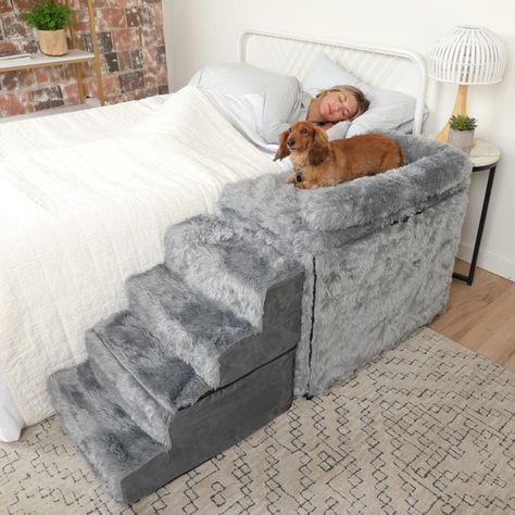 Dog Bed Foot Of Bed Master Bedrooms, Puppy Stairs To Bed, Home Office With Dog Bed, Loft Dog Bed, Organize Dog Clothes, Dog Bed With Stairs, Elevated Pet Bed, Dog Crate Bedside Table, Dog Bed Beside Human Bed