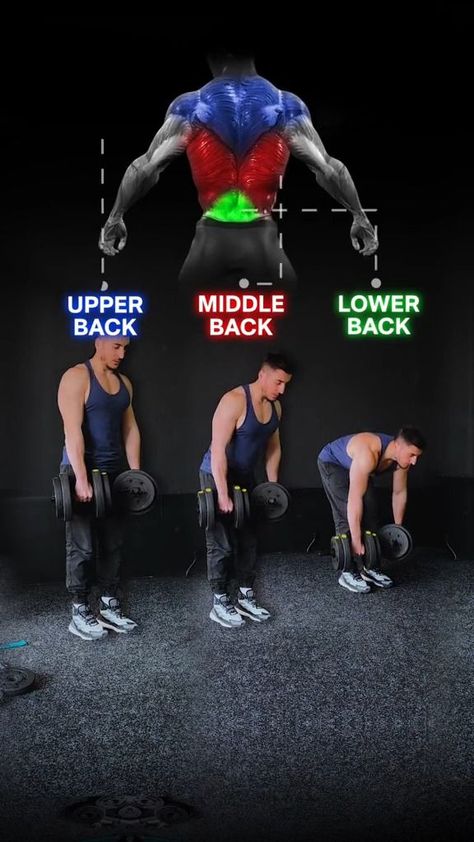 Yes you can hit your full back with dumbbells 💪 The muscles in your upper, mid, and lower back. To target your lower back, the stiff leg deadlift is a great exercise that can be performed with dumbbells. For your mid back, the dumbbell row is an effective exercise that targets your lats. 💪 To target your upper back, including your rear delts and traps, rear delt rows are a great exercise to include in your routine. 💪 By incorporating these exercises into your workout regimen, you can strength Back Workout For Beginners, Back Workout Bodybuilding, Dumbbell Back Workout, Dumbbell Row, Back Workout Routine, Upper Back Exercises, Stiff Leg Deadlift, Workout Back, Strengthen Your Back