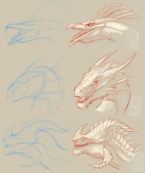 Dragon Poses, Dragon Anatomy, Dragon Heads, Dragon Sketch, Monster Concept Art, Creature Drawings, Dragon Pictures, Fantasy Creatures Art, Dragon Artwork