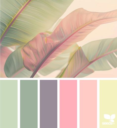 Design Seeds: Color Nature Nature Color Pallete, Flamingo Color Palette, Inspiration Color Palettes, Design Seeds Color Palette, Bali Bedroom, Seeds Color Palette, Flamingo Color, Seeds Color, Drawing Desk