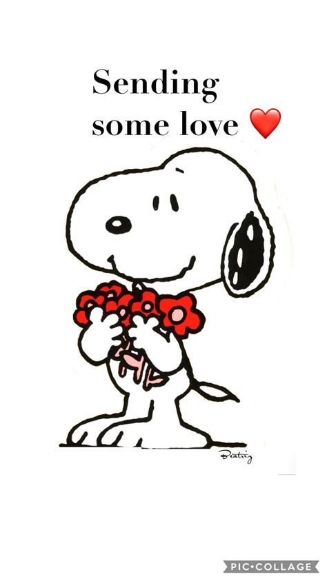 A Cartoon, Cartoon Character, Snoopy, Quotes, Flowers