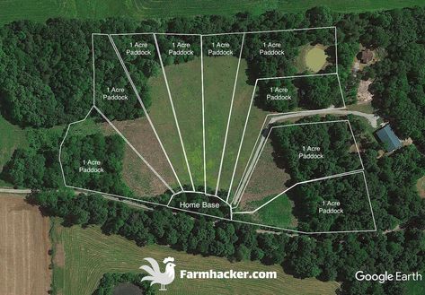 Today I want to show you the best pasture pigs rotational grazing paddock design and how you can raise pigs on pasture in a way that stewards the land well and makes your life much easier.   Introduction to My… Pasture Pigs, Pig Shelter, Pig Waterer, Pastured Pigs, Rotational Grazing, Hog Farm, Raising Pigs, Raising Farm Animals, Paddock Paradise