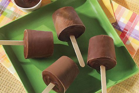 Pudding Pops Recipe, Chocolate Pudding Pops, Pudding Pops, Fudge Pops, Pudding Flavors, Homemade Pudding, Pudding Pop, Homemade Fudge, Frozen Chocolate