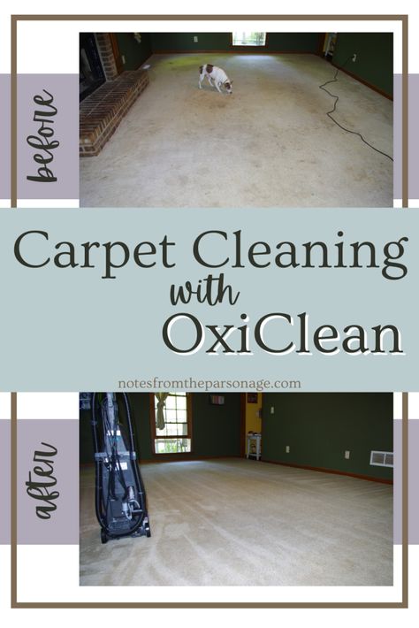 Carpet Steamer Solution Diy, Best Carpet Cleaner Solution, How To Clean Carpet Stains, Stinky Carpet Remedy, Natural Carpet Cleaner, Stains Out Of Carpet, Removing Carpet Stains, How To Deep Clean Carpet, Cleaning Carpet Hacks