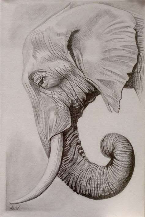 Elephant Art Drawing, Elephant Drawings, African Drawings, Elephant Sketch, Elephant Photography, Elephant Artwork, Pencil Drawings Of Animals, Elephant Drawing, Elephant Painting