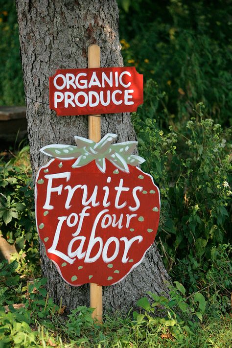 Farmers Market Signage, Strawberry Stand, Produce Signs, Strawberry Sign, Companion Garden, Strawberry Social, Farm Stand Ideas, Market Signage, Strawberry Cottage