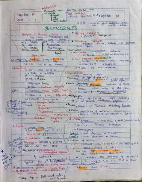 Notes of Biomolecules chapter of Class XI Biomolecules Notes, Chemistry Mind Map, Biology Flashcards, Zoology Notes, Biology Class 11, Notes Biology, Neet Biology, Chemistry Class 12, Biology Project