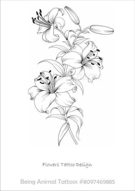 Lilly Tattoo Design, Lilly Flower Tattoo, Lily Flower Tattoo, Tiger Lily Tattoos, Water Lily Tattoos, Violet Tattoo, Lillies Tattoo, Lily Tattoo Design, Lily Flower Tattoos