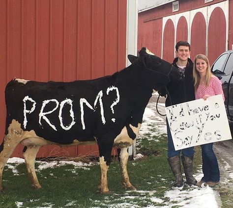 Cute Promposals, Country Prom, Cute Homecoming Proposals, Top 20 Funniest, Country Relationship Goals, Cute Prom Proposals, Asking To Prom, Homecoming Posters, Dance Proposal