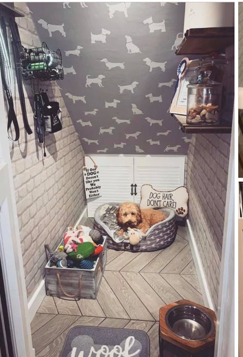 Dog Bedroom Ideas, Dog Room Design, Under Stairs Dog House, Dog Nook, Room Under Stairs, Dog Closet, Fall Dining Room Table, Closet Under Stairs, Dog Room Decor