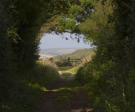 Tree Tunnel, Have Inspiration, English Countryside, Nature Aesthetic, Pretty Places, Green Aesthetic, Narnia, Cottage Core, Pretty Pictures