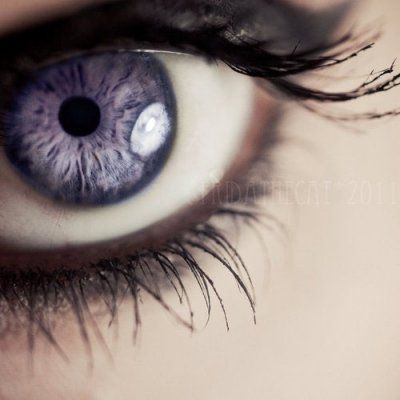 violet eye Ashara Dayne, Beautiful Eyes Color, Yennefer Of Vengerberg, Photos Of Eyes, Windows To The Soul, Violet Eyes, Gorgeous Eyes, Neil Gaiman, Purple Eyes