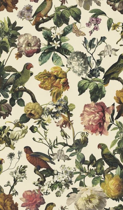 Museum kuitutapetti - 307301 - Museum - EIJFFINGER - Tapettimallit - Tapettitaivas Oy Background Css, Hello Wallpaper, Pc Background, Parakeet Bird, Brewster Wallpaper, Graphic Background, Images Design, Cream Wallpaper, Pip Studio