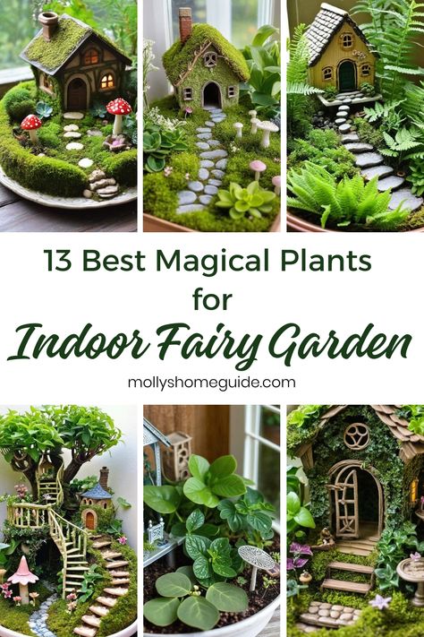 Looking to create a magical indoor fairy garden? Discover the best plants for indoor fairy gardens! These unique herb garden ideas will transform your space into a whimsical sanctuary. Learn about Fairy garden plants that thrive indoors and get inspired by DIY fairy garden ideas. With the right Indoor fairy garden plants, you can create beautiful miniature gardens in containers. Seeking Spider plant care tips? Explore our guide on how to care for these lovely plants. Diy Indoor Fairy Garden Ideas, Tiny Plants Indoor, Diy Fairy Garden Ideas Indoor, Fairy Garden Balcony, Woodland Fairy Garden, Indoor Butterfly Garden, Indoor Fairy Gardens Diy, Fairy Garden Centerpiece Ideas, Fairy Terrarium Ideas