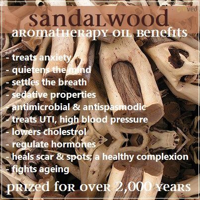 Sandalwood Magical Properties, Sandalwood Incense Benefits, Sandalwood Properties, Sandalwood Essential Oil Benefits, Herbal Monographs, Incense Benefits, Sandalwood Benefits, Tamil History, Witchy Plants