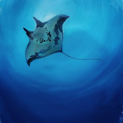 Sea Life Oil Painting, Monochromatic Animal Painting, Sea Creature Acrylic Painting, Sea Animals Painting Acrylic, Paintings Of Sharks, Marine Animal Painting, Manta Ray Painting Acrylic, Ocean Animal Paintings Easy, Sting Ray Painting Acrylic