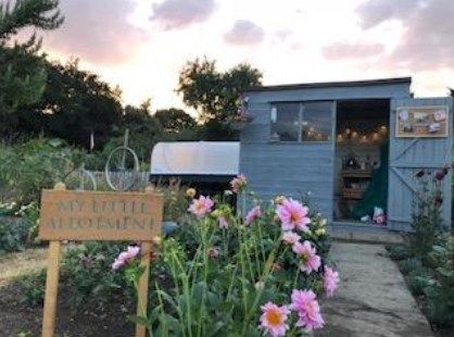 National Allotment Week 2018 | My Little Allotment's 7 Foolproof Allotment Plants Allotment Ideas Inspiration, Allotment Plan, Garden Dahlia, Allotment Shed, Mr Plant, Allotment Ideas, Shed Interior, Allotment Gardening, Stories Ideas