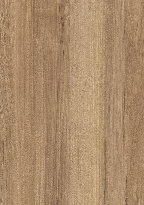 H3700 ST10 Natural Pacific Walnut Walnut Wood Texture, Walnut Texture, Walnut Board, Bamboo Texture, Traditional Building, Virtual Design, Natural Walnut, Surface Textures, Wood Texture