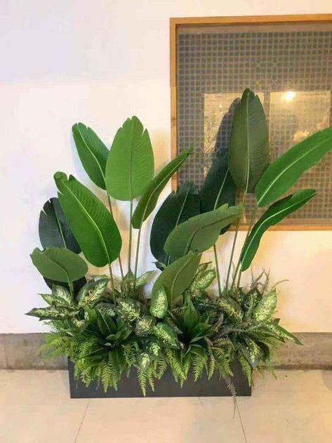 Bathroom Plants Decor, Tropical Garden Design, Garden Decor Projects, Mums Homecoming, Bathroom Plants, Plant Decor Indoor, 아파트 인테리어, Outdoor Gardens Design, House Plants Decor