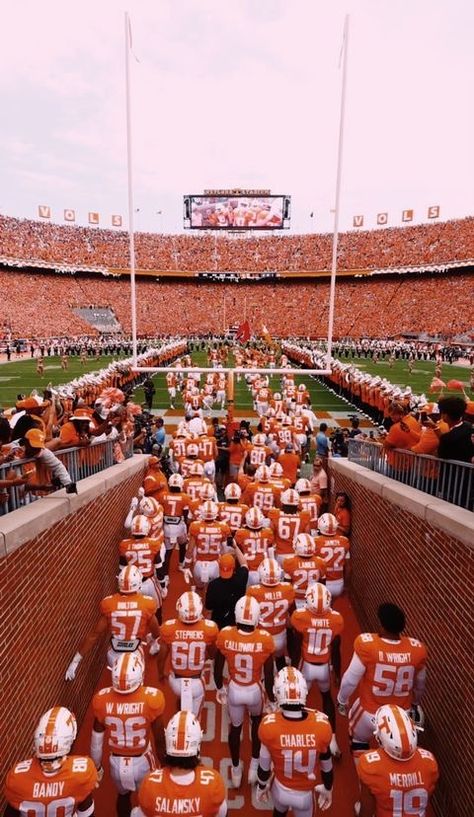 Tennessee Vols Aesthetic, Ut Wallpaper, Longhorn Gameday Outfit, University Of Tennessee Aesthetic, Vols Wallpaper, Tennessee Vols Wallpaper, Tennessee Wallpaper, Austin Texas Outfits, Talkin Tennessee