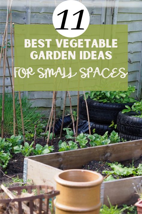 Garden Ideas For Small Spaces, Vertical Vegetable Gardens, Herbs Growing, Easy Patio, Vegetable Gardening Ideas, Vertical Vegetable Garden, Garden Goals, Small Vegetable Gardens, Vegetable Garden Ideas