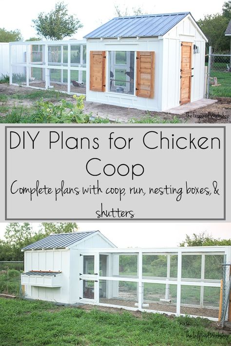 Reban Ayam, Cute Chicken Coops, Chicken Coop Garden, Chicken Coup, Chicken Pen, Backyard Chicken Coop Plans, Diy Chicken Coop Plans, Chicken Coop Run, Backyard Chicken Farming