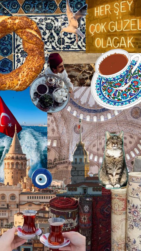 #istanbul #çay #turkishtea #turkey #travel #istanbulmoodboard #istanbultraveltips #turkishcoffee Pictures Of Turkeys, Turkey Culture, Turkey Vacation, Istanbul Turkey Photography, Istanbul Photography, Travel Collage, Sushi Night, Turkey Photos, Turkey Country