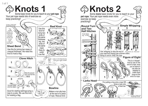 Animal Skull Drawing, Brownies Girl Guides, Kids Survival Skills, Scout Knots, Tiger Scouts, Cub Scout Activities, Forest School Activities, American Heritage Girls, Knife Skills