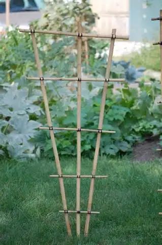 How to Build a Bamboo Garden Trellis Frugally - Dengarden Bamboo Projects, Decorative Trellis, Diy Bamboo, Small Trellis, Bamboo Diy, Flower Trellis, Diy Garden Trellis, Bamboo Stalks, Bamboo Trellis