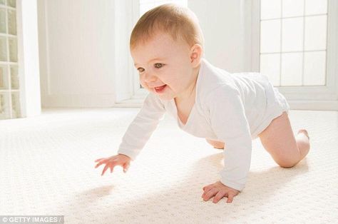 8 Month Baby, Baby Knee Pads, 9 Month Old Baby, Baby Crawling, Baby Schedule, Sick Baby, Crawling Baby, Do Baby, Everything Baby