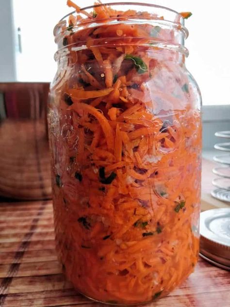 Carrot Kimchi [TANGGUN] To Instantly Add Flavor to Any Meal | MakeSauerkraut Korean Salad, Kimchi Noodles, Fermented Recipes, Making Sauerkraut, Fermenting Weights, Fermented Kimchi, Cultured Food, Fermented Pickles, Light Sauce