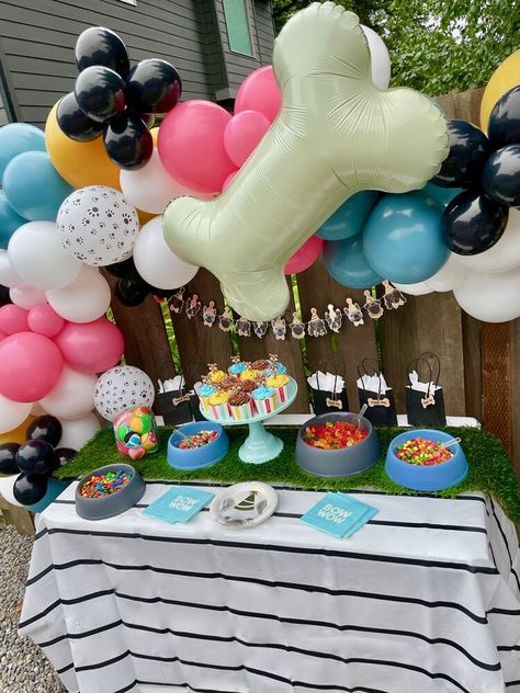 Fiesta Dog Party, Dogs 21st Birthday Party, Dog Welcome Home Party, Dog Park Party, Puppy Pool Party, Dog Pool Party Ideas, Dog 21st Birthday Party, Dog Quinceanera Party, Birthday Party For Dog