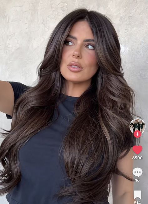 Dark Beige Brunette Hair, Level 3 Brunette Hair, Sophisticated Brunette Hair, Brunette Dimensional Hair Dark, Expensive Brunette Black Hair, All Dark Brown Hair, Kylie Jenner Curtain Bangs, Boujee Brunette Hair, Brunette Colour Ideas