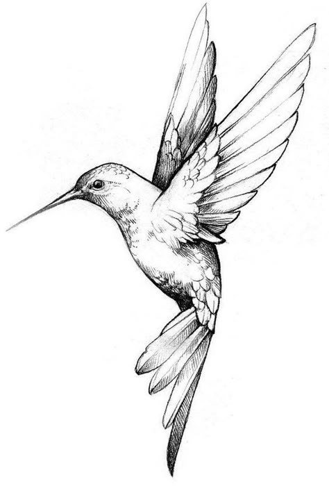 Bird Looking Down Drawing, Humming Birds Tattoo Design, Shaded Tattoos Women, Black And White Hummingbird Tattoo, 2 Hummingbirds Tattoo, Two Hummingbird Tattoo, Minimalist Hummingbird Tattoo, Scattered Tattoos Sleeve Women, Fineline Tattoo Design