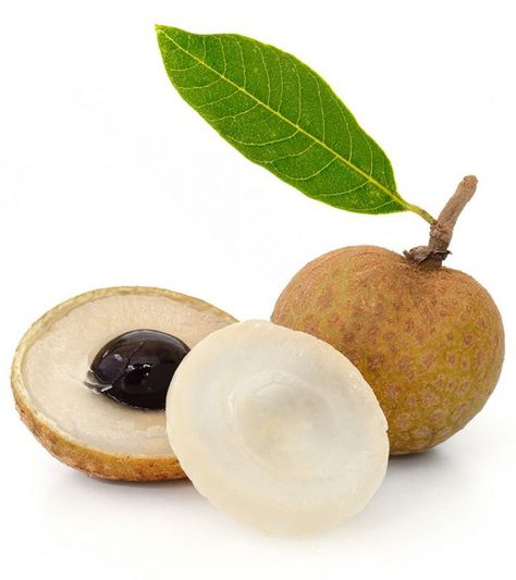 Longan Fruit: Health Benefits,Nutrition Profile & Side Effects Fruit Bucket, Kiwi Benefits, Longan Fruit, Types Of Fruits, Roll Ups Recipes, Fruit Benefits, White Corn, Kiwi Fruit, Dragon Eye