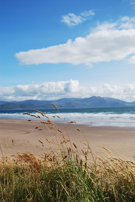 Inch Beach, Ireland... Where Coldplay shot their music video for "Yellow" Inch Beach Ireland, Irish Beach Aesthetic, Ireland Beach Aesthetic, Irish Coast Aesthetic, Beach Ireland, Irish Beach, Backpacking Ireland, Ireland Aesthetic, Ireland Weather