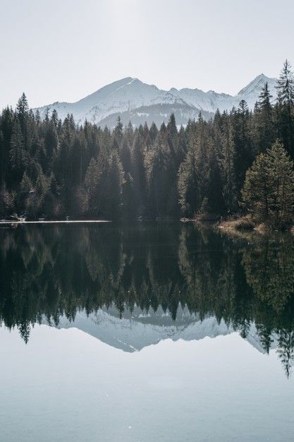 Lake surrounded by mountains and forests... | Free Photo #Freepik #freephoto #tree Lake In Mountains, Mountain Lake Aesthetic, Beautiful Mountains Photography, Forest Lake Aesthetic, Lake In A Forest, Mountains With Lake, Forest Lake Painting, Forest With Mountains, Forest Mountain Landscape