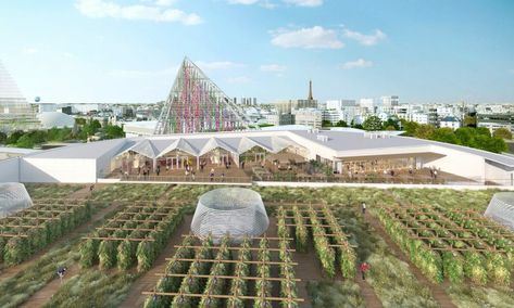 The World’s Largest Urban Farm Is Set to Open in Paris - Modern Farmer Urban Farms, Paris Rooftops, Systems Thinking, Urban Agriculture, Urban Farm, Welcome To The Future, Urban Oasis, Urban Farming, Different Plants