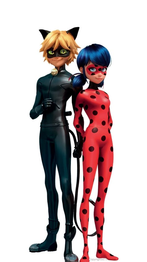 Miraculous Ladybug Party, Tikki And Plagg, Ladybug E Catnoir, Anime Miraculous Ladybug, Ladybug Und Cat Noir, Ladybug Birthday Party, Ladybug Birthday, Miraculous Wallpaper, Ladybug Party