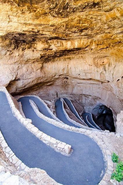 Carlsbad Caverns New Mexico, Carlsbad Caverns National Park, Carlsbad Caverns, New Mexico Usa, Land Of Enchantment, Natural Park, Future Travel, Zion National Park, Places Around The World