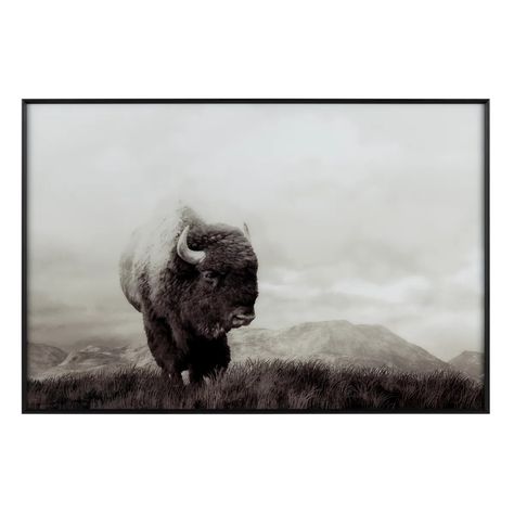 Bison Life - Crestview Collection Charcoal Color Scheme, Charcoal Landscape, Buffalo Wall Art, Dark Silhouette, How To Hang Wallpaper, Powerful Images, The Wild West, Rustic Wall Art, American West