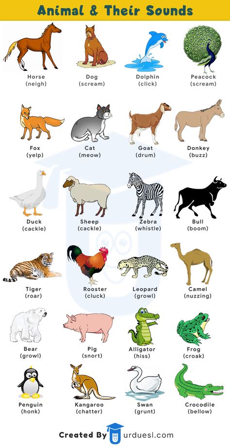 This image contains sounds of animals and birds with their pictures Masculine And Feminine Gender, Gender Of Animals, Animals List, Animals And Their Homes, Animal Pictures For Kids, Animals Name In English, English Activities For Kids, Learning English For Kids, Masculine And Feminine