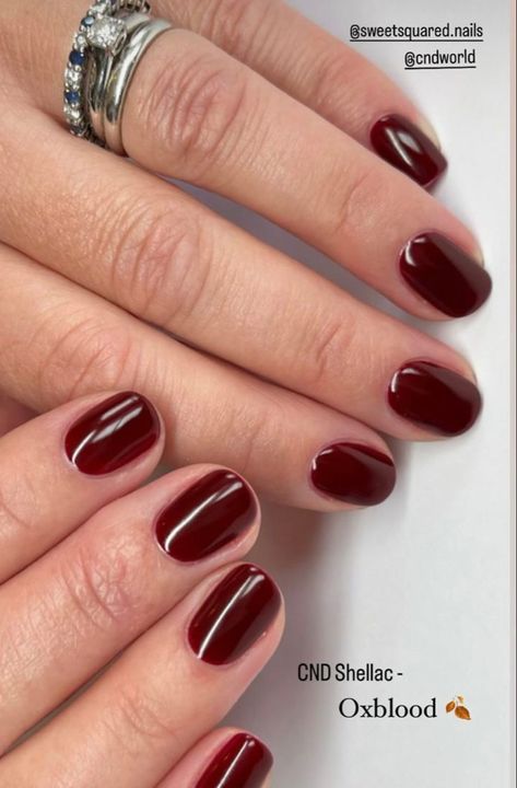 Cnd Shellac Oxblood, Oxblood Nails, Cnd Shellac Nails, Reflective Nails, Cnd Nails, Burgundy Nails, Cnd Shellac, Shellac Nails, Nails Diy