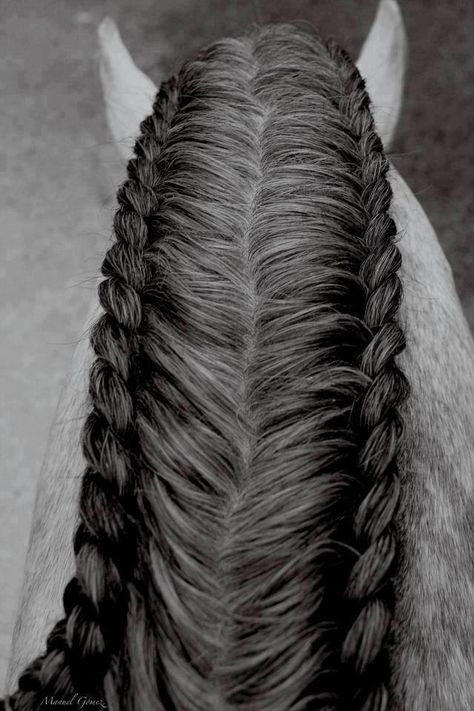 Horse hair styles                                                                                                                                                                                 More Horse Hair Styles, Horse Hair Ideas, Horse Hairstyles, Mane Braids, Horse Mane Braids, Horse Braids, Horse Hair Braiding, Horse Braiding, Tail Braids